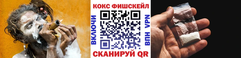 COCAIN Fish Scale  Купить где  Костерёво 