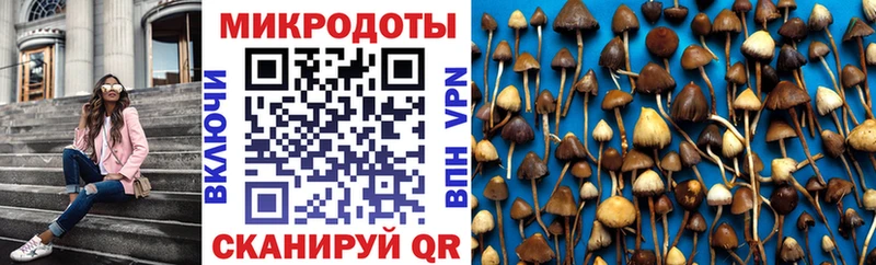 Галлюциногенные грибы Cubensis  Купить закладки  Костерёво 